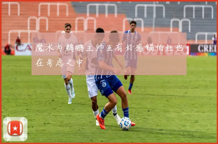 魔术与鹈鹕主帅互有好感锡伯杜也在考虑之中