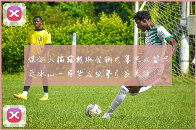 媒体人揭露戴琳借钱内幕王大雷只是冰山一角背后故事引发关注